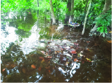 Image of আবদুল কাইয়ুম